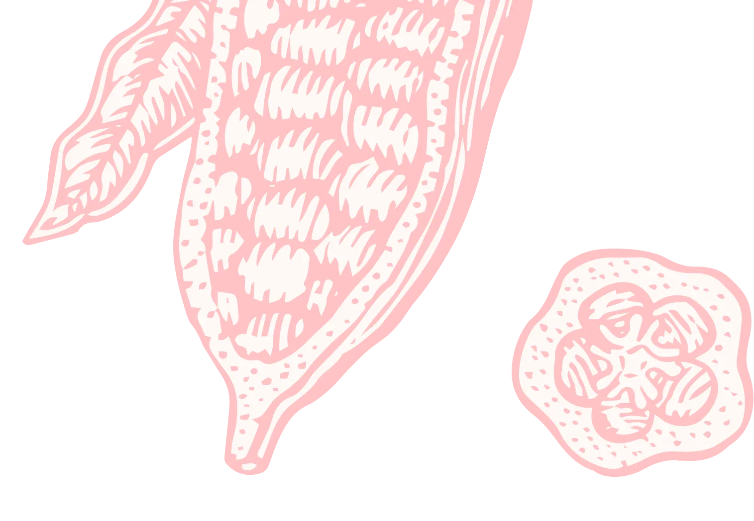 Abstract illustration of a pink maize ear.
