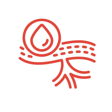 Stylized red icon of a water drop over tree roots and dotted line.
