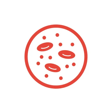 Red blood cells illustrated in a circular pattern.